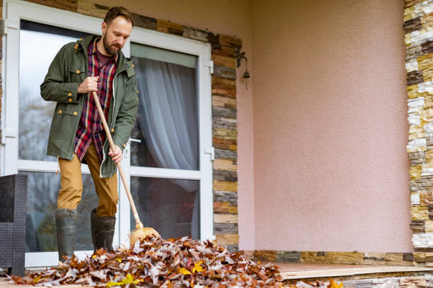 Best Construction Debris Removal  in Solana Beach, CA